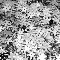 flitre kovový lesk strieborné 90